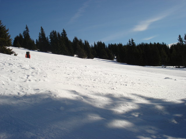 lachtal-2008-tel-057.jpg