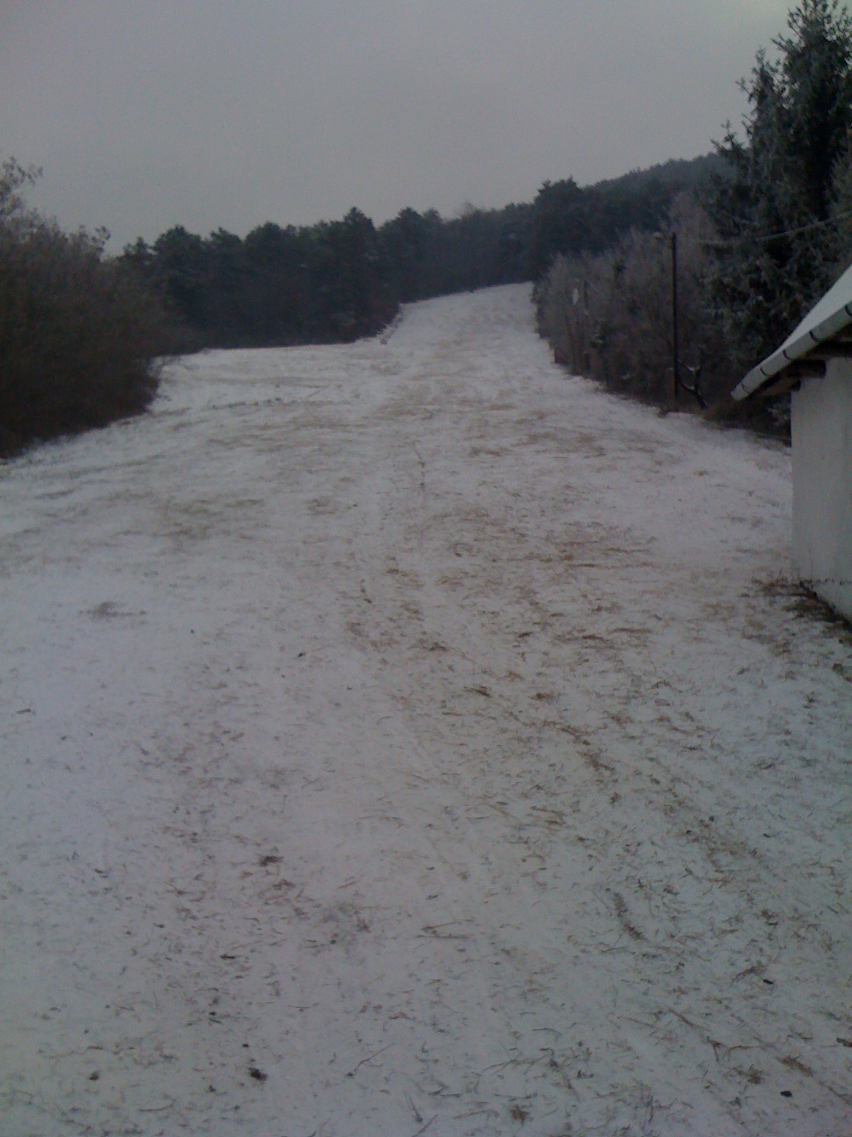 IMG-1383.JPG