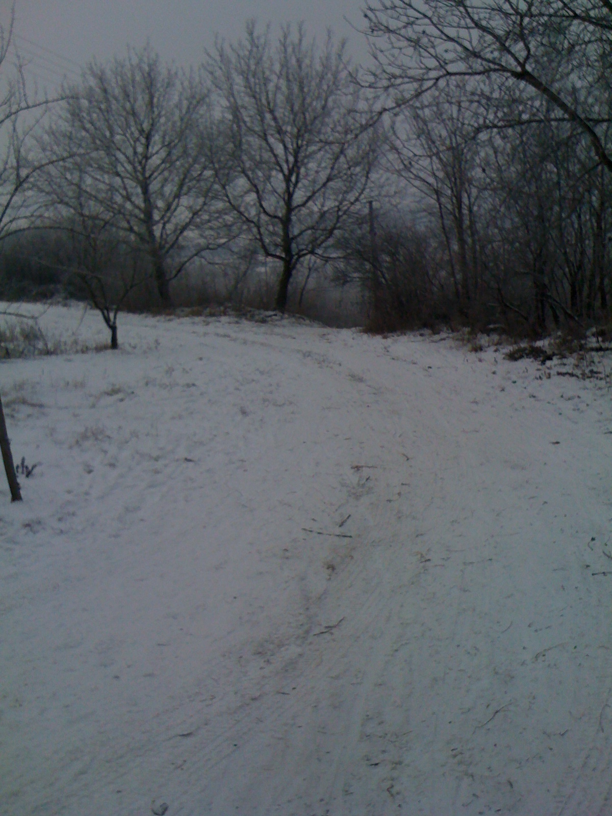 IMG-1387.JPG