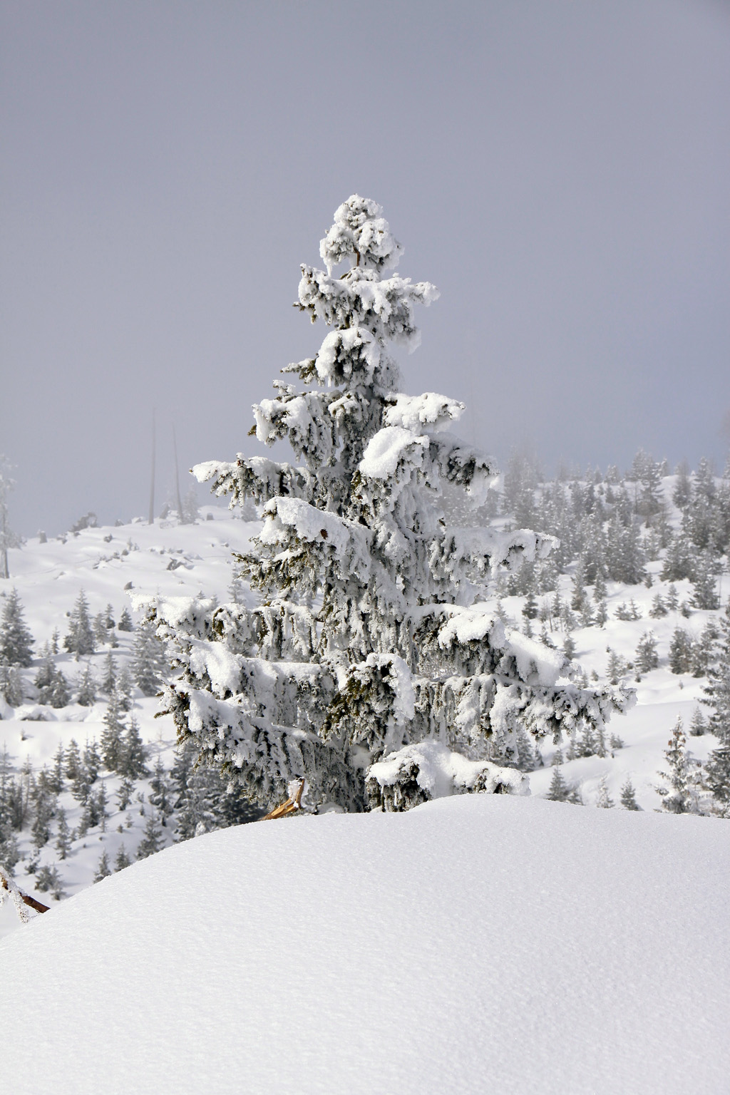 Tauplitz Austria 2010