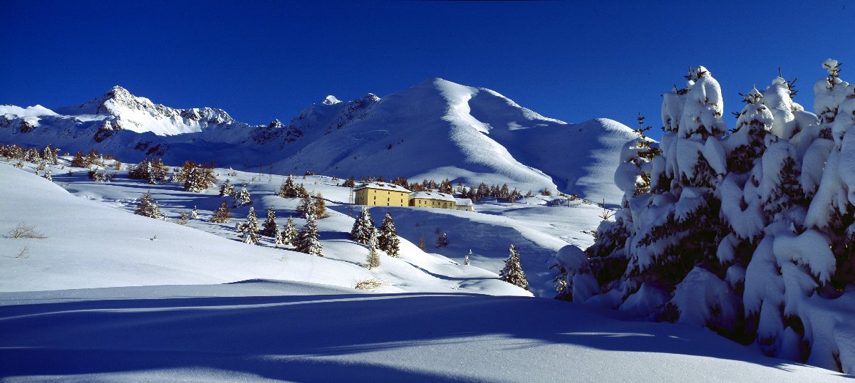 adamello-ski-31.jpg