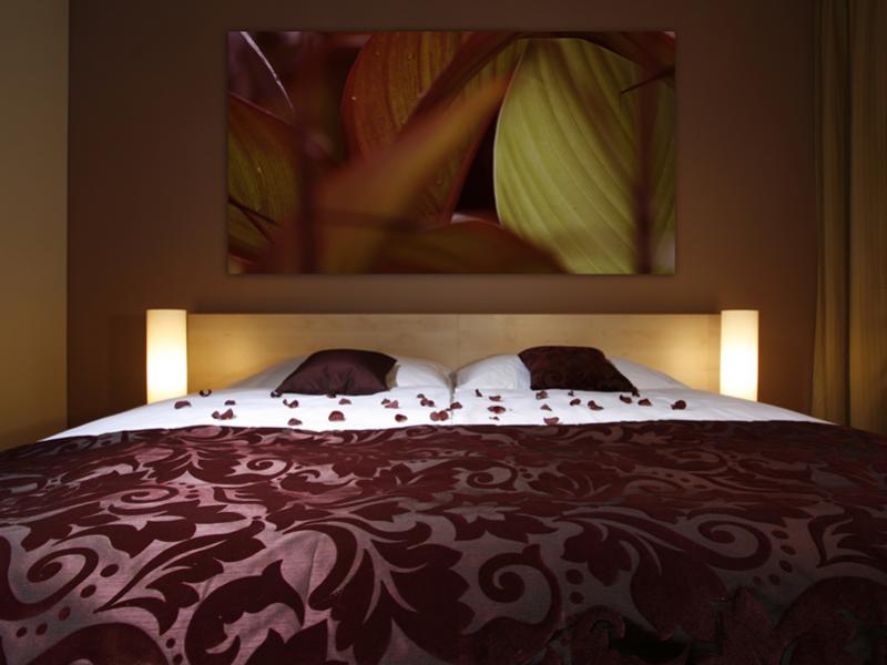 crocus-apartmanok-csorba-to13.jpg