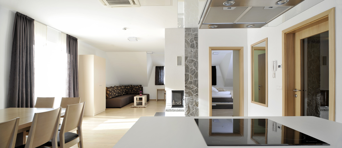 breza-apartements-ribnisko-pohorje04.jpg