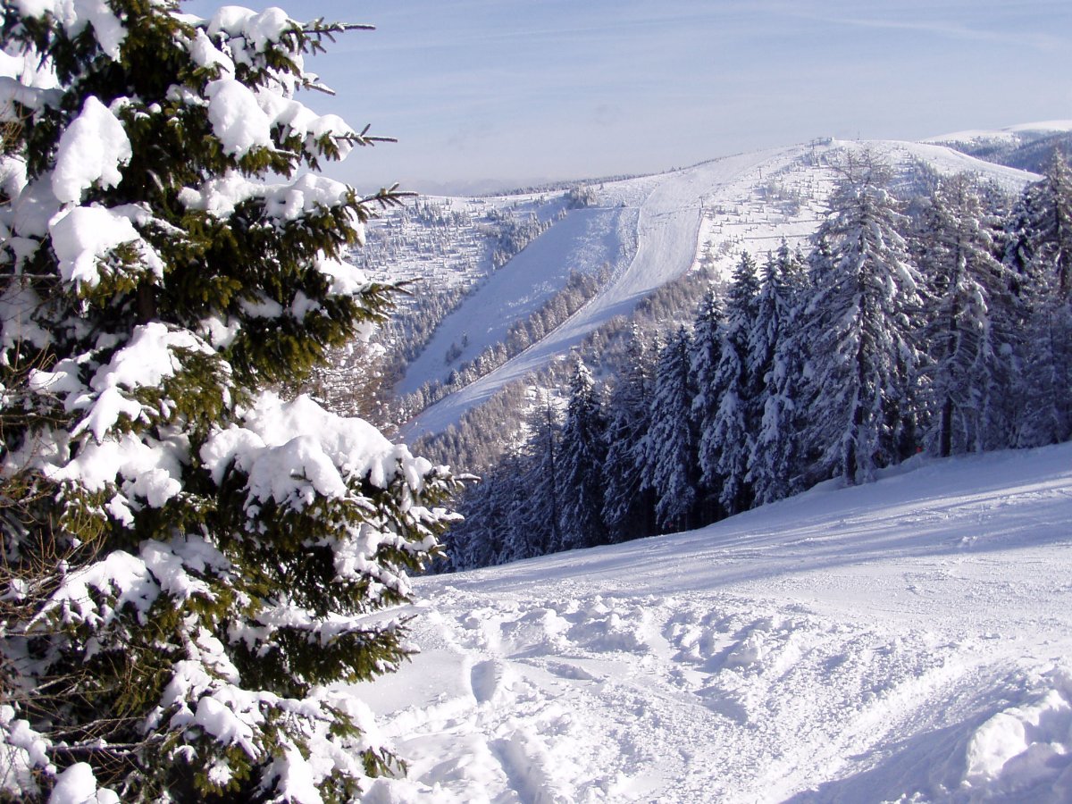 forgaria-ski-25.JPG