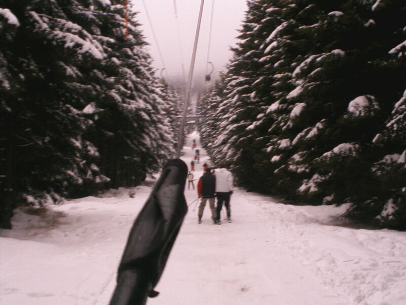 IMG-0010.JPG