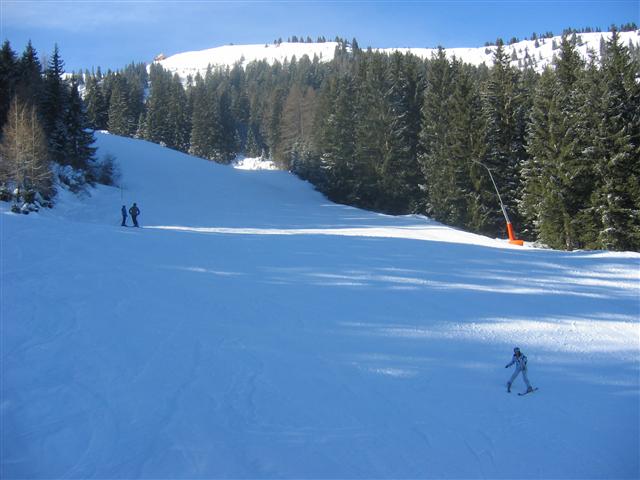 IMG-7246-Small.JPG