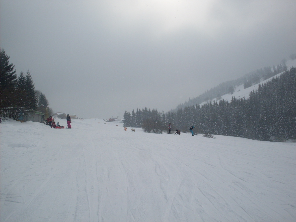 SDC13861.JPG
