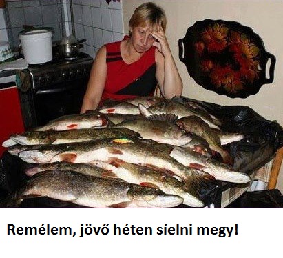 sieles-jovo-het.jpg