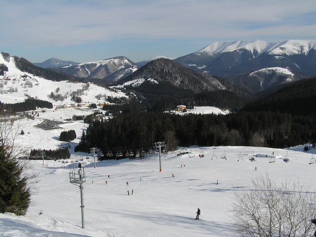 mini-P2050047.JPG