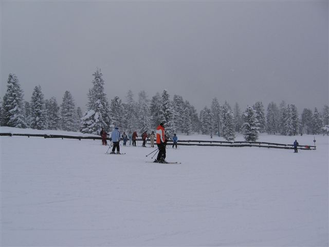 IMG-0186.JPG