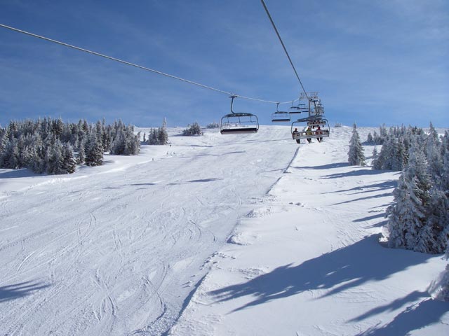 IMGP1731-.jpg