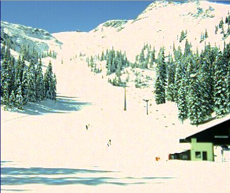hochk060501.jpg