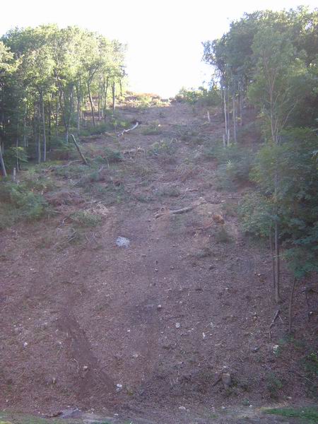 uj-palya-alja.JPG