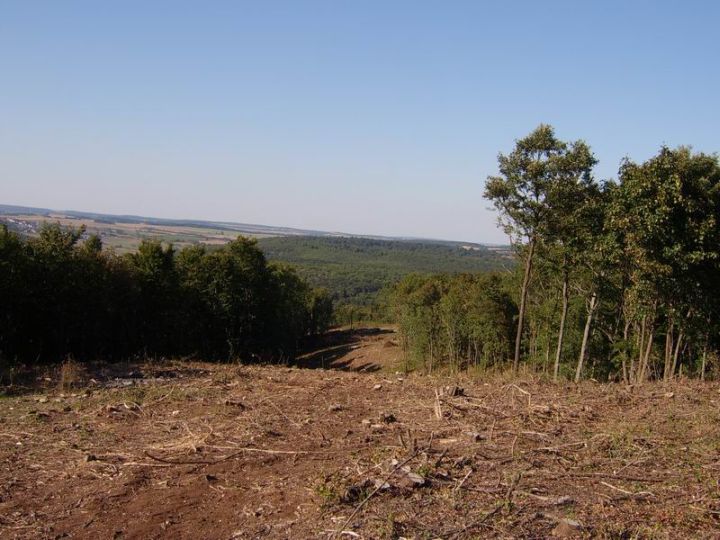 uj-palya-teteje2.jpg