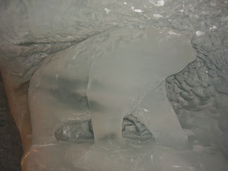 jegbarlang-jegesmedve.jpg