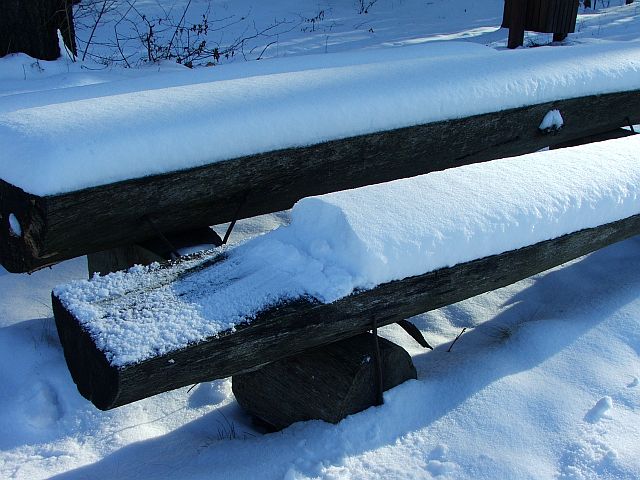 DSCF1175.jpg