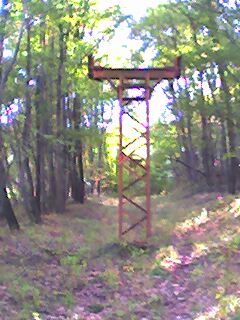 picture004.jpg