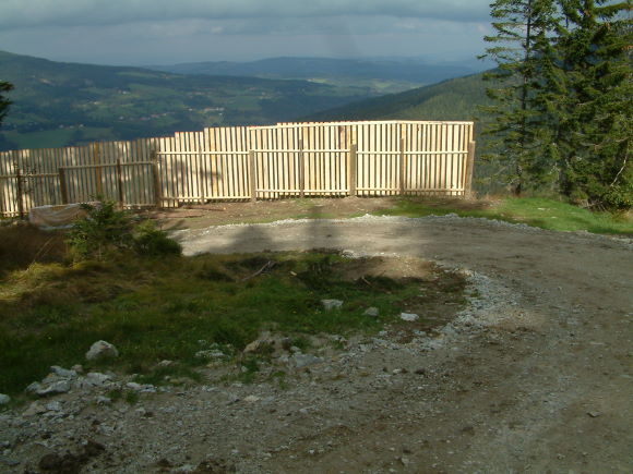 DSCF0226.jpg