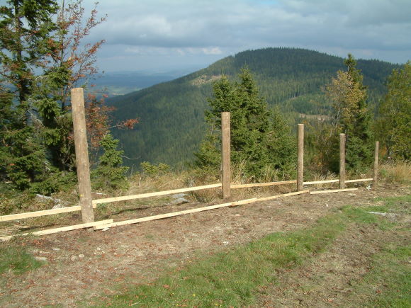 DSCF0231.jpg