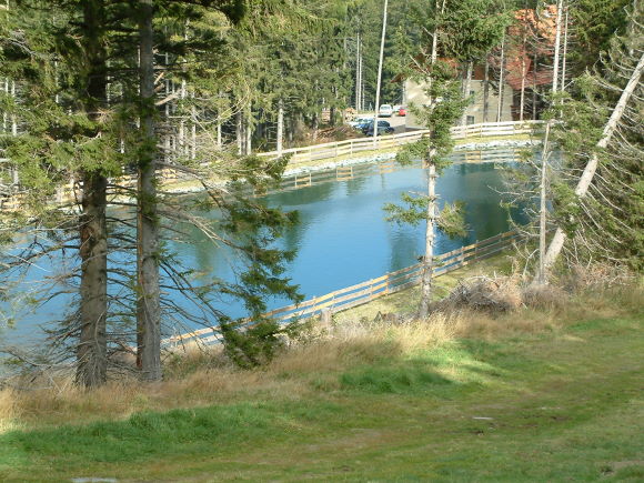 DSCF0239.jpg
