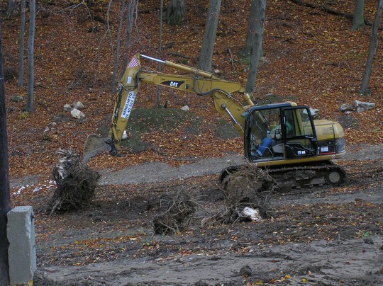 Igy-kezdodott-a-fatusko-elvitele.JPG