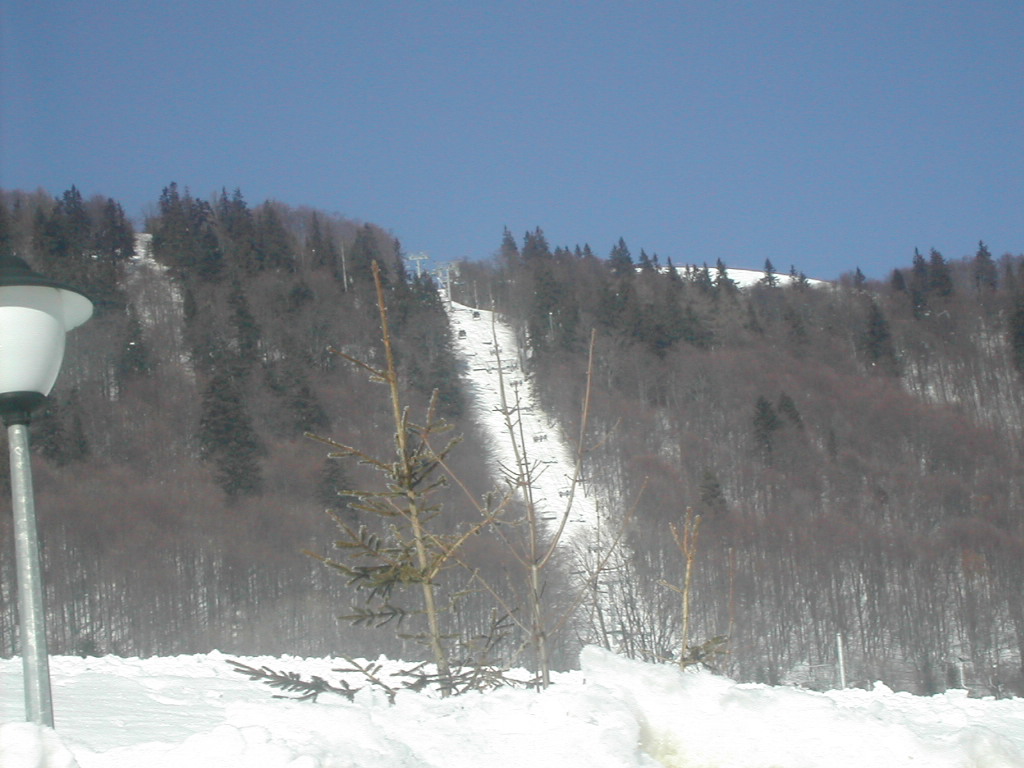 DSCN4750.JPG