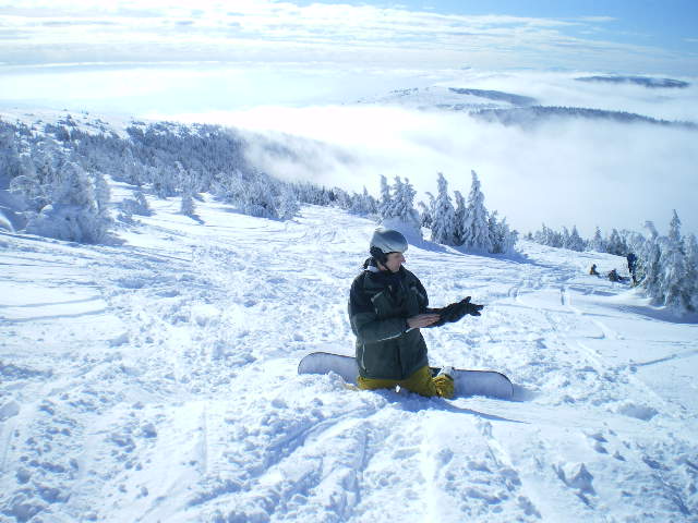 kezdodik-az-erdo.JPG