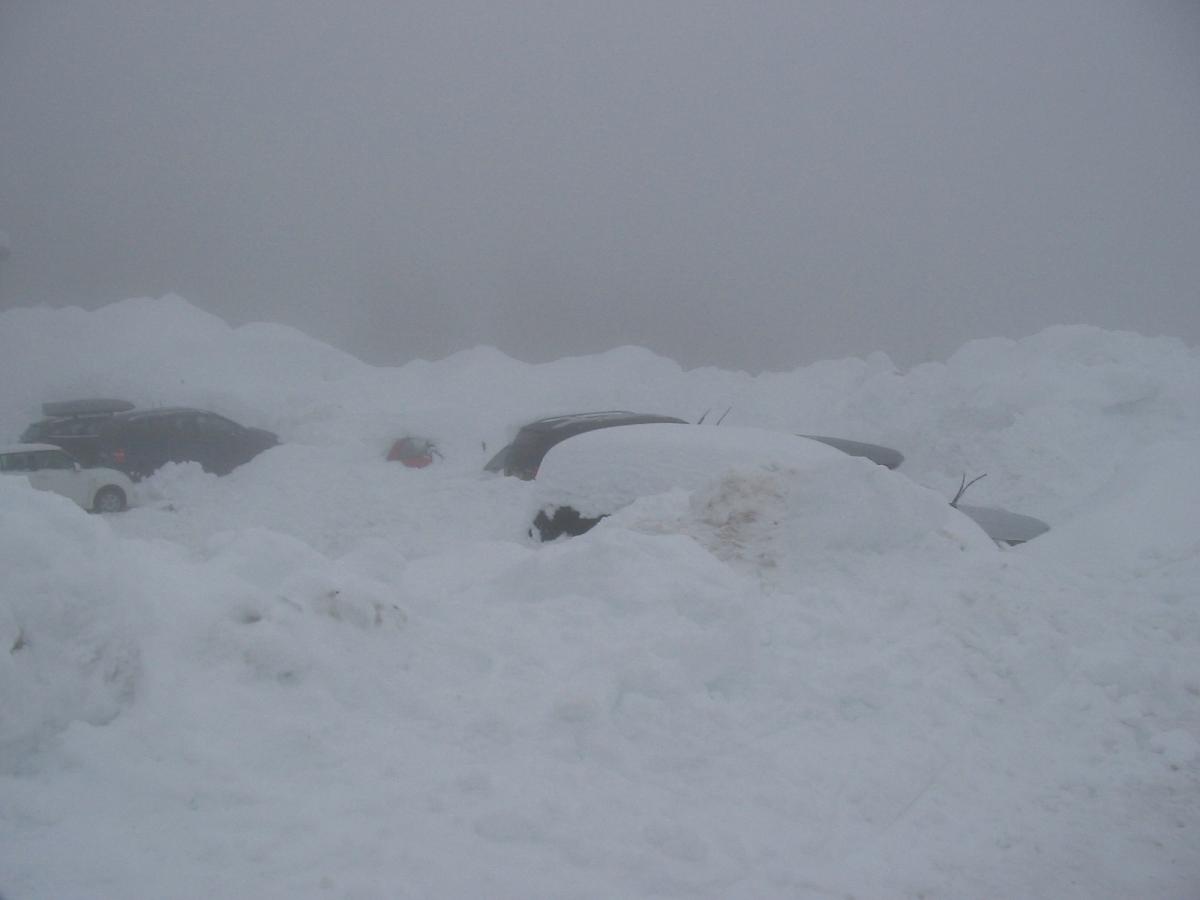 IMG-5788.JPG