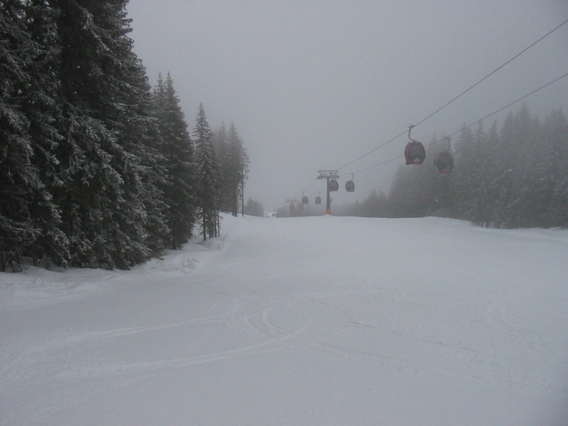 IMG-3123.jpg