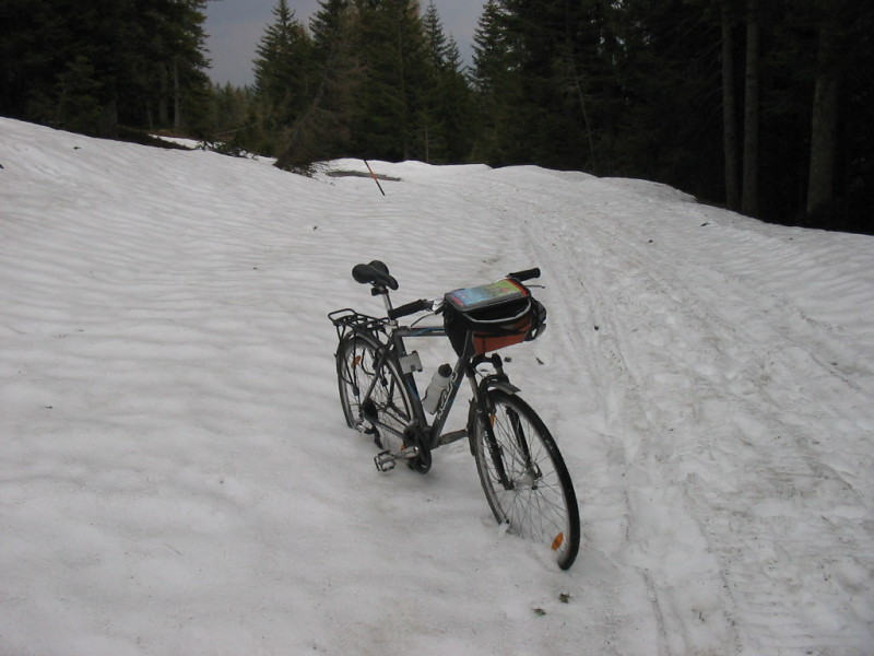 IMG-3621.jpg
