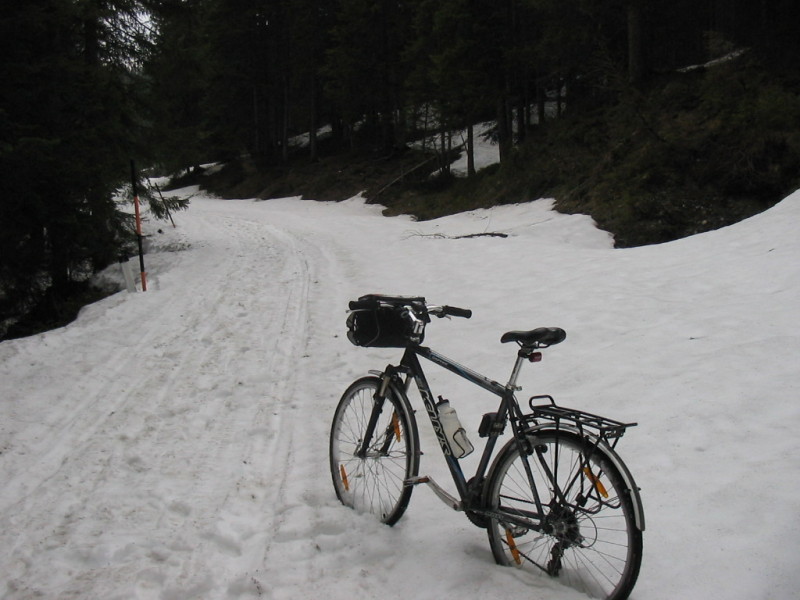 IMG-3622.jpg