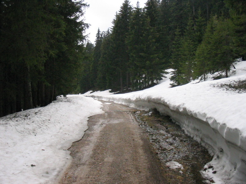IMG-3624.jpg