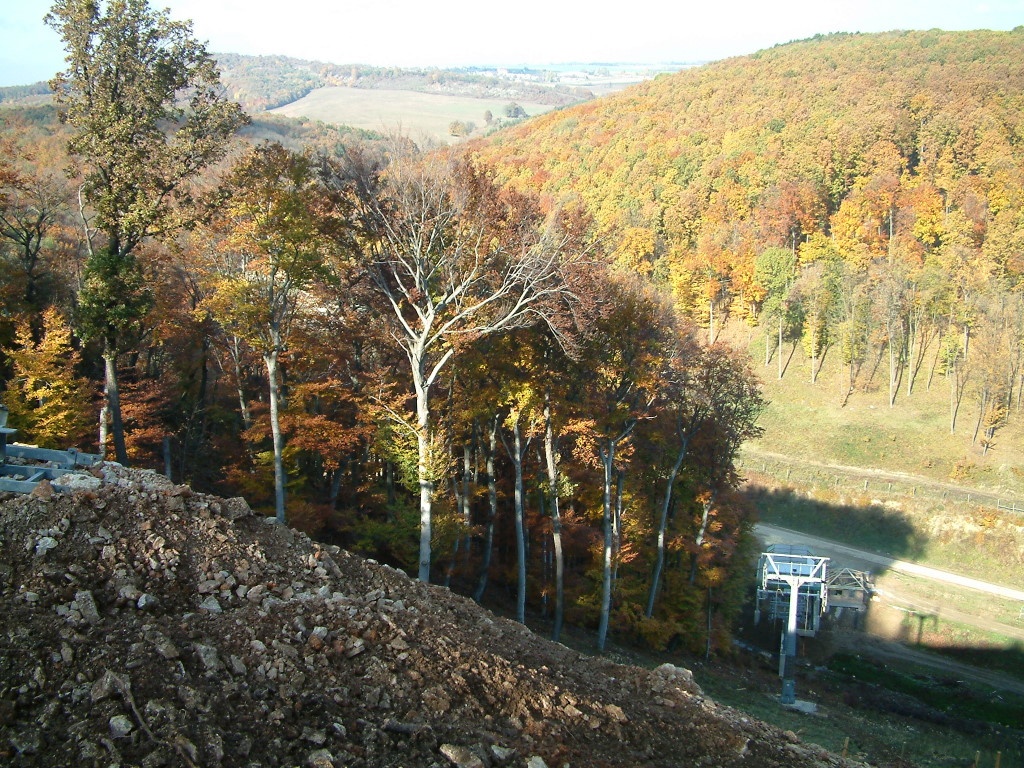 DSCF1415.jpg