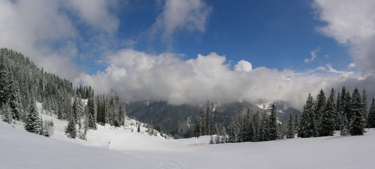 Pano.jpg