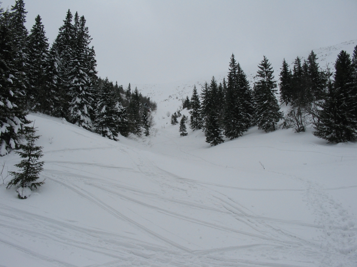 Sítalp és Snowboard nyomok a puha, laza hóban.