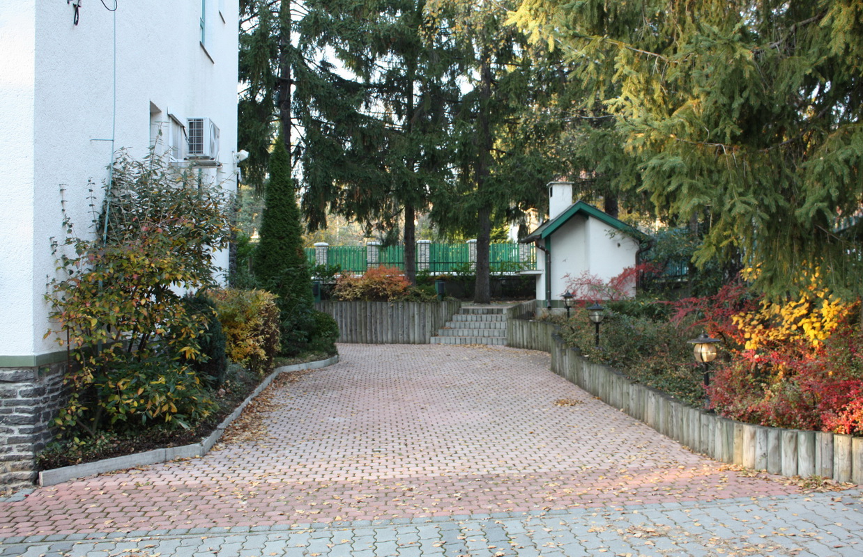 gyongyvirag02.jpg