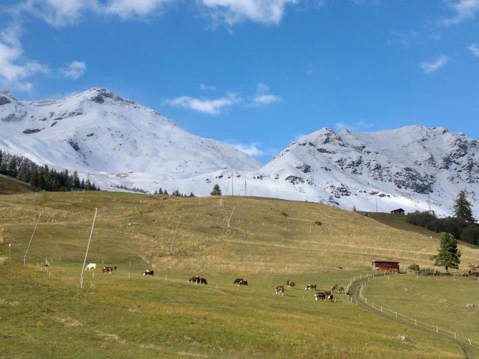 Monterosa (I)