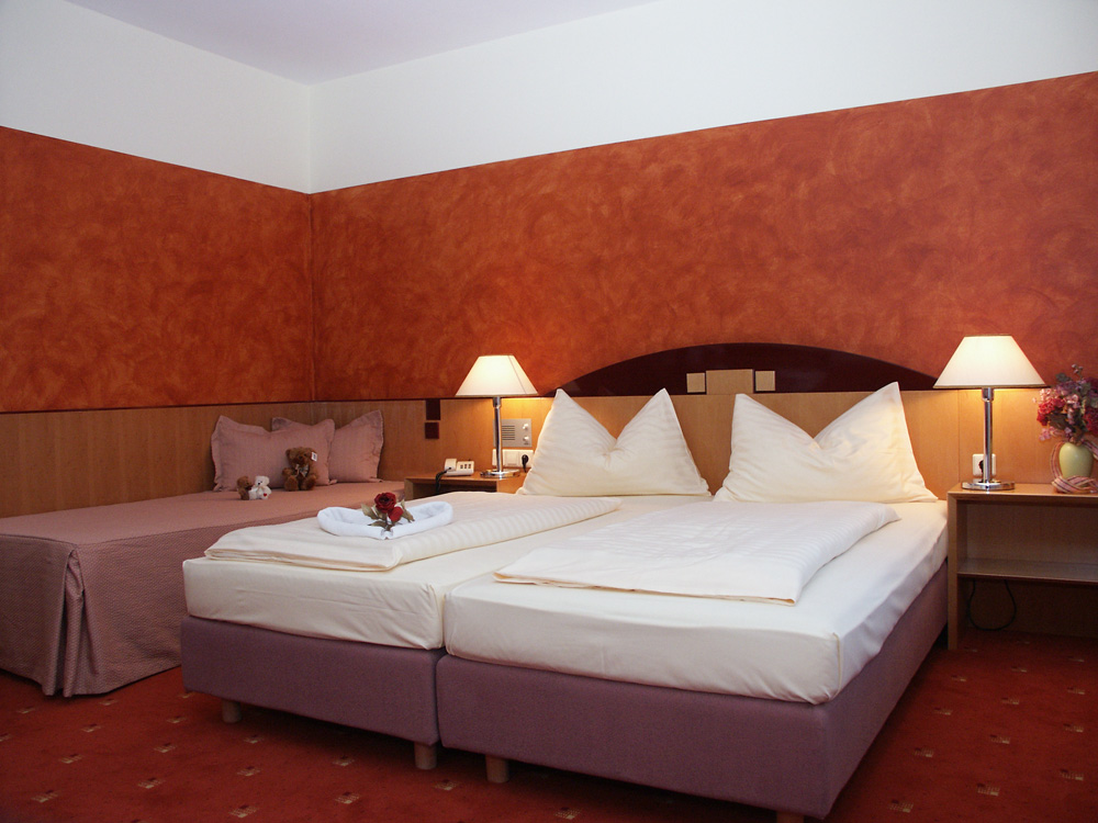 hotel-schneeberghof16.jpg