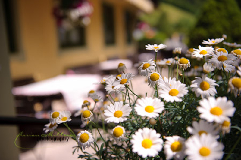 hotel-sonnwend-fieberbrunn-31.jpg