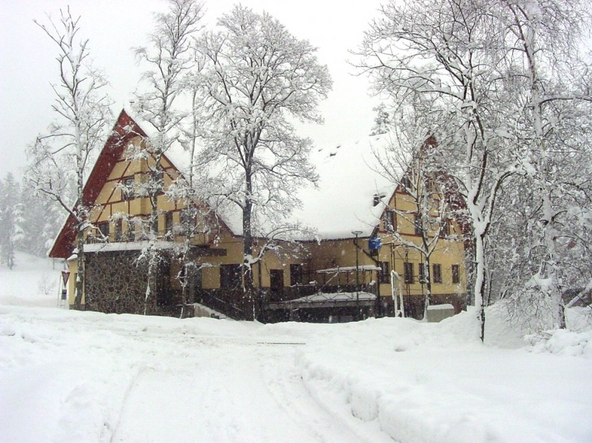 hotel-tulipan03.jpg