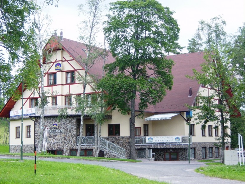 hotel-tulipan04.jpg