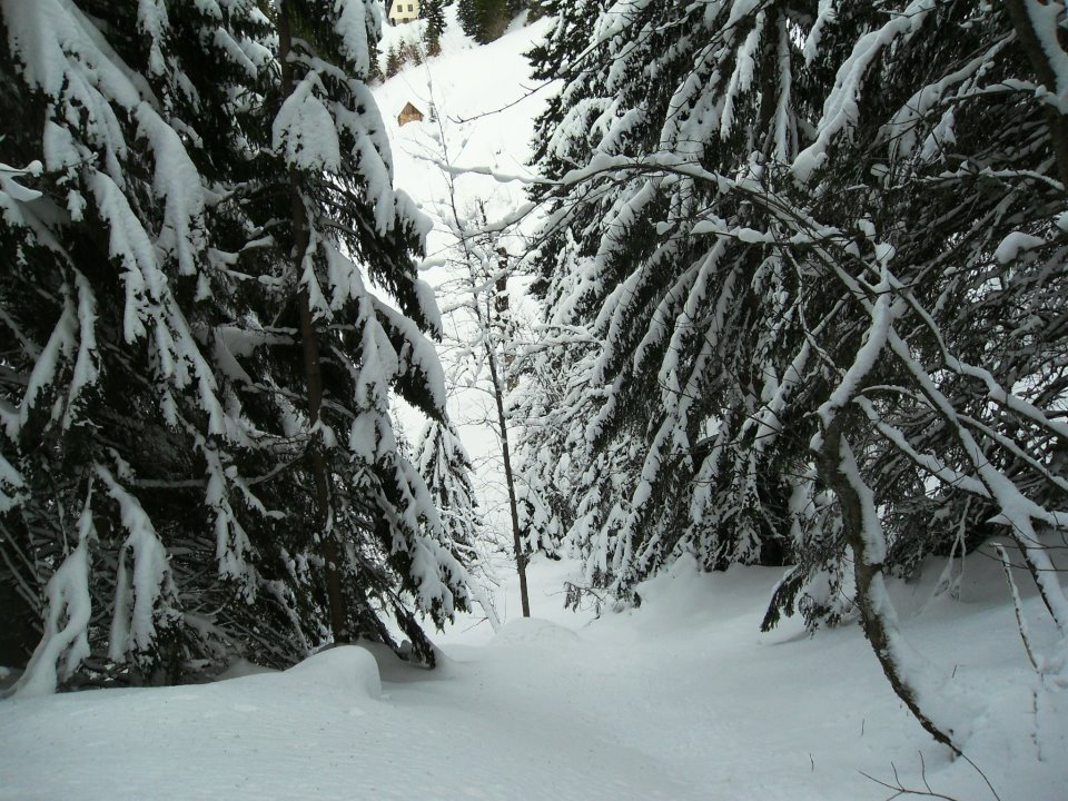 jahorina3.jpg