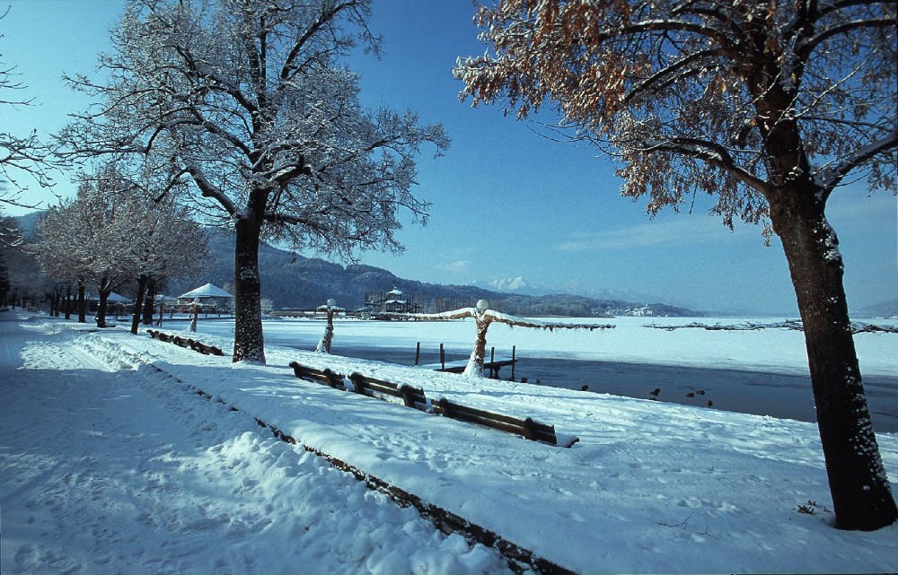 A Wörthi-tó télen - Fotó: Gerdl