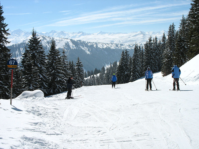 3_Wurzhoehe_Hohe_Tauern.jpg