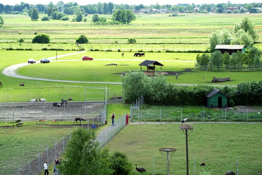 A swierkocini szafari park