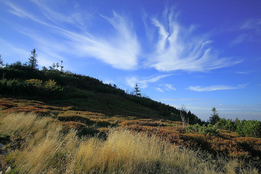 Babiogorski Nemzeti Park