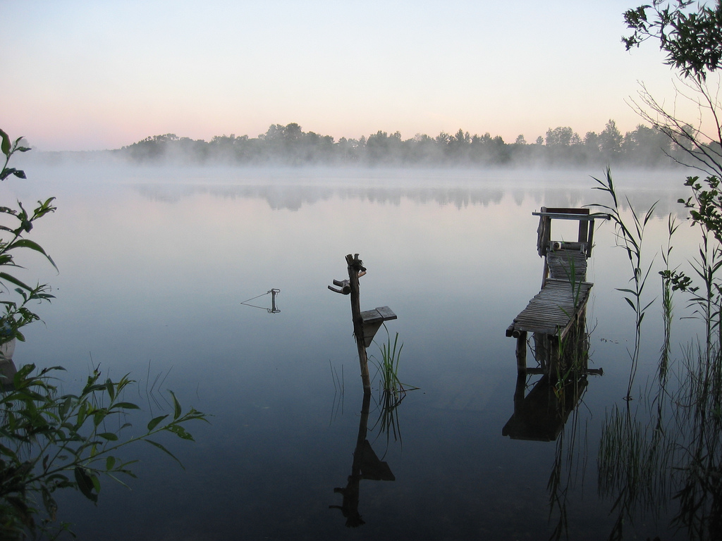 Bory Tucholskie Nemzeti Park