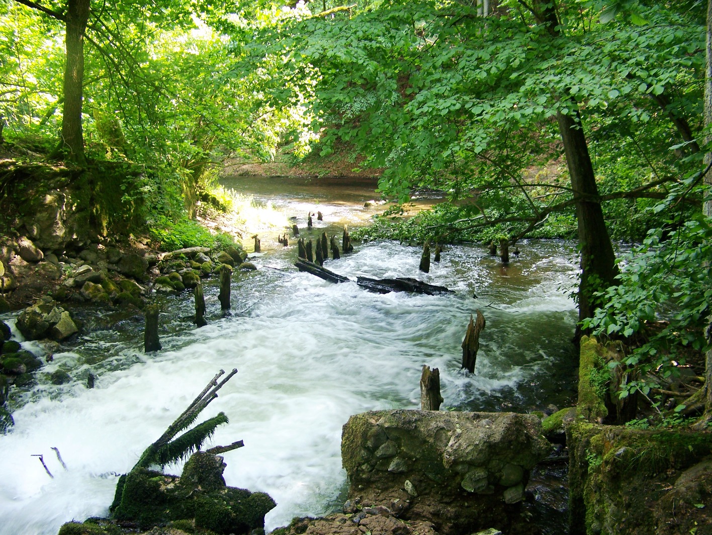 Drawieoski Nemzeti Park