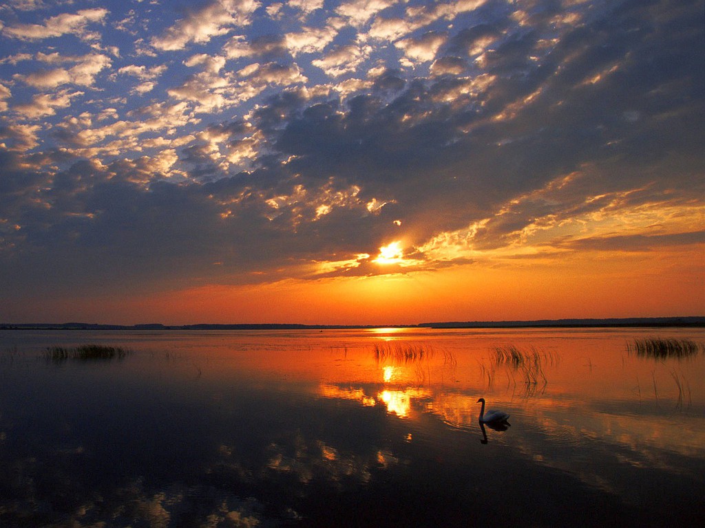 Poleski Nemzeti Park