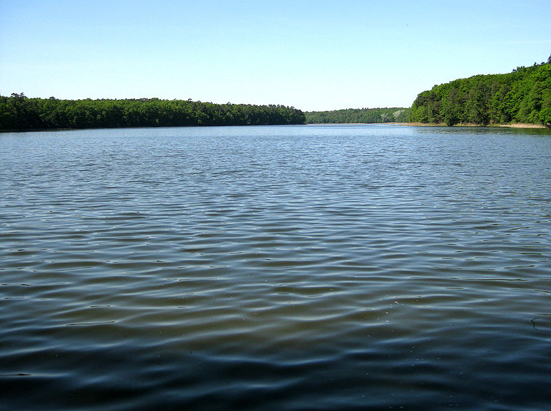 Wielkopolski Nemzeti Park